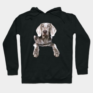 Weimaraner Hoodie